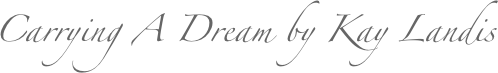 Carrying A Dream by Kay Landis